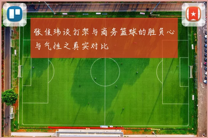 张佳玮谈打架与商务篮球的胜负心与气性之真实对比